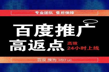 专业SEM托管：成功提升广告效果的案例分析